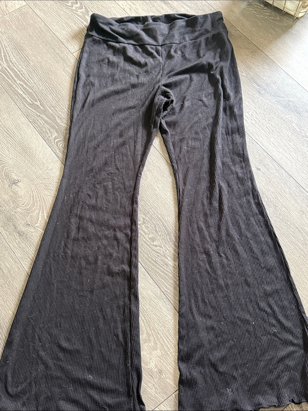 NOBO Black Ribbed Flared Pants